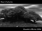 Arbre en Bord de Mer