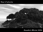 Ile Fleurie